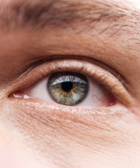 close up of male middle-aged eye