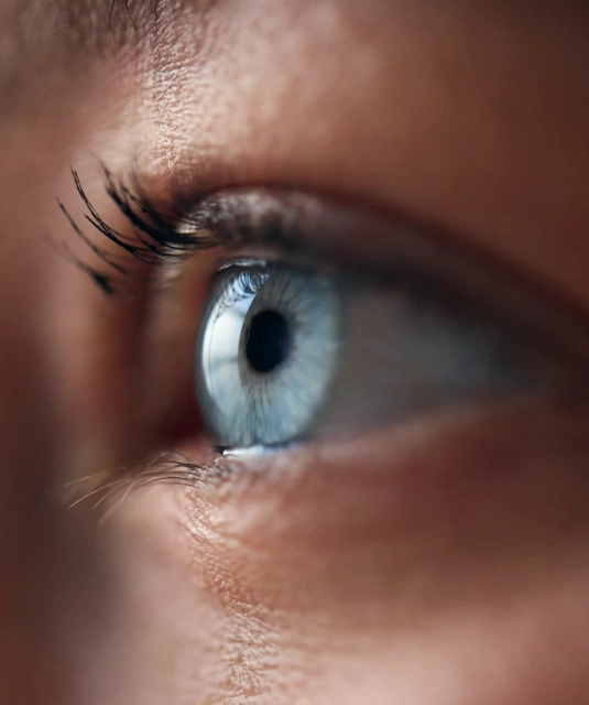 closeup of blue eye